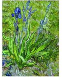 Puzzle Eurographics - Vincent Van Gogh: Die Iris, 1000 piese (6000-0380)