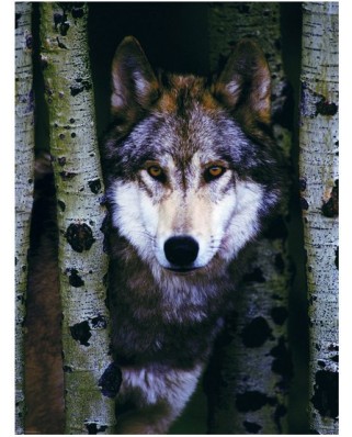 Puzzle Eurographics - Wolf, 1000 piese (8000-1244)