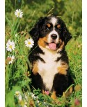 Puzzle Step - Puppy, 80 piese mini (60633)