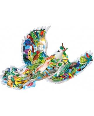 Puzzle contur SunsOut - Aimee Stewart: Feathered Friends, 1000 piese (64402)