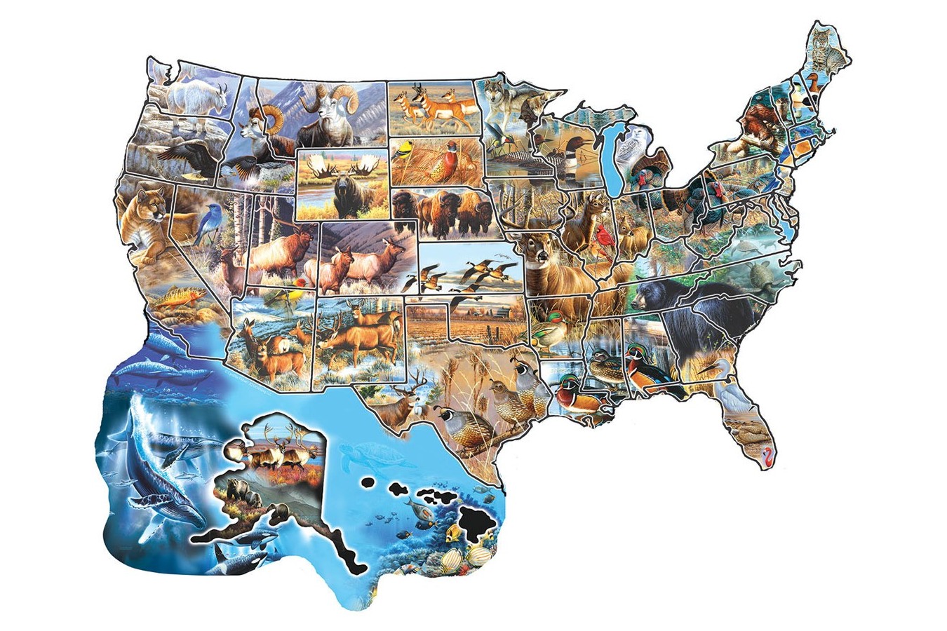 Puzzle contur SunsOut - Cynthie Fisher: Wild America, 600 piese (64406)