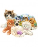 Puzzle contur SunsOut - Giordano Studios - A Litter of Kittens, 1000 piese (64395)