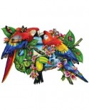 Puzzle contur SunsOut - Lori Schory: Parrots in Paradise, 1000 piese (64375)