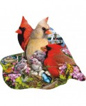 Puzzle contur SunsOut - Lori Schory: Spring Cardinals, 800 piese (64438)