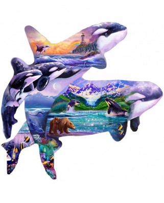 Puzzle contur SunsOut - Steve Sundram: Orca Habitat, 1000 piese (64421)