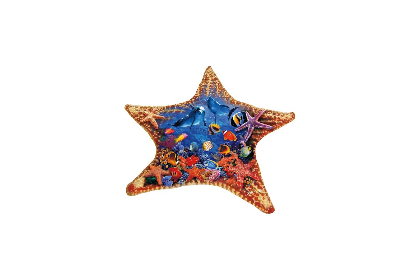 Puzzle contur SunsOut - Steve Sundram: Starfish, 600 piese (64427)