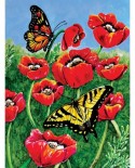 Puzzle SunsOut - Charlsie Kelly: Monarch and Swallowtails, 1000 piese (64356)