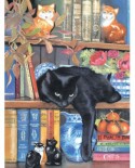 Puzzle SunsOut - Chrissy Snelling: On the Shelf, 1000 piese (64452)