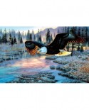 Puzzle SunsOut - Cynthie Fisher: Eagle Dawn, 1000 piese (64342)