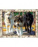 Puzzle SunsOut - Cynthie Fisher: Wolf Pack Colors, 1000 piese (64243)
