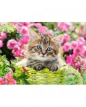 Puzzle Castorland - Kitten In Flower Garden, 100 piese (111039)