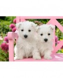 Puzzle Castorland - White Terrier Puppies, 120 piese (13494)