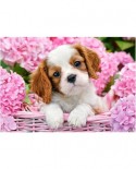 Puzzle Castorland - Pup In Pink Flowers, 500 piese (52233)