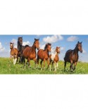 Puzzle panoramic Castorland - Horse Paradise, 600 piese (60351)