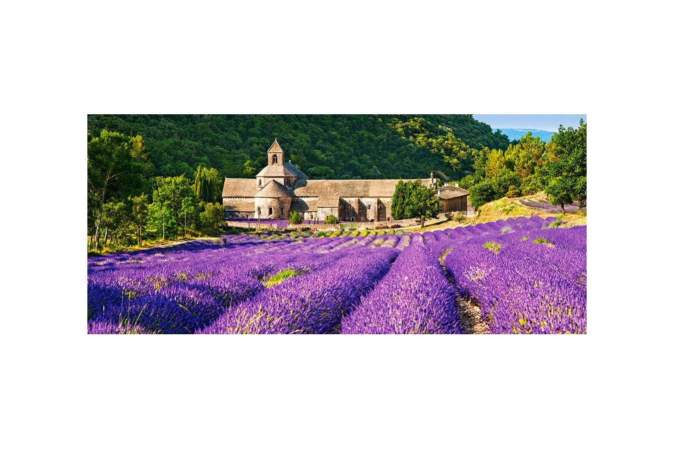 Puzzle panoramic Castorland - Notre Dame De Senanque , France, 600 piese (60313)