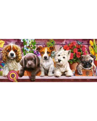 Puzzle panoramic Castorland - Puppies On A Shelf, 600 piese (60368)