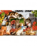Puzzle Castorland - Kittens Play Time, 1500 piese (151639)