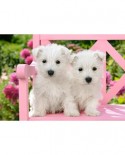 Puzzle Castorland - White Terrier Puppies, 1500 piese (151721)