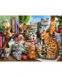 Puzzle Castorland - House Of Cats, 2000 piese (200726)