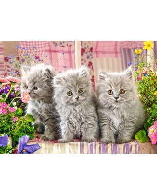 Puzzle Castorland - Three Grey Kittens, 260 piese (27491)