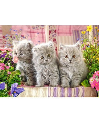 Puzzle Castorland - Three grey kittens, 300 piese (030330)