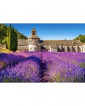 Puzzle Castorland - Lavender Field in Provence, 1000 piese (104284)