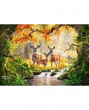 Puzzle Castorland - Royal Family, 1000 piese (104253)