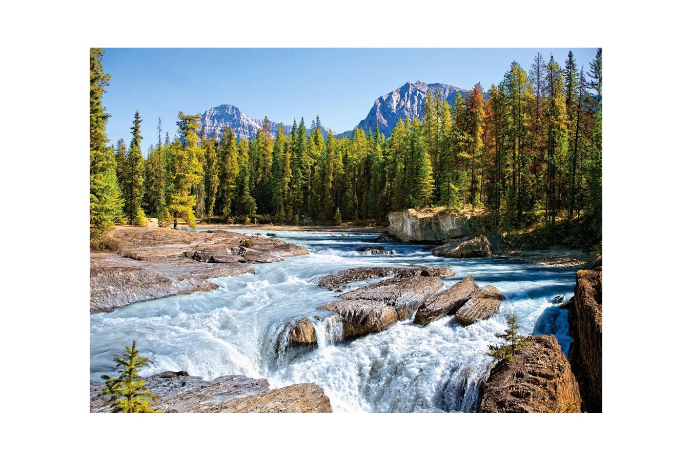 Puzzle Castorland - Athabasca River, Jasper National Park Canada, 1500 piese