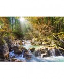 Puzzle Castorland - Sunny Forest Sream, 2000 piese