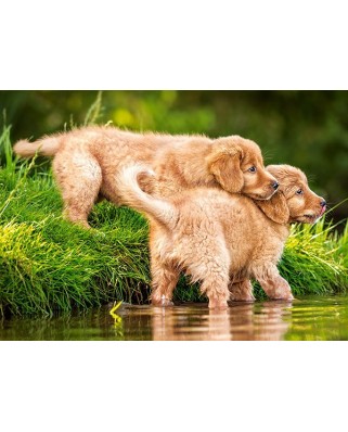 Puzzle Castorland - Puppies by the river, 60 piese