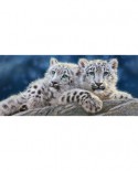 Puzzle Panoramic Castorland - Snow Leopards Cubs, 600 piese