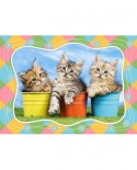 Puzzle Castorland - Siberian Kitties in Flowerpots, 60 piese