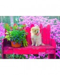 Puzzle Bluebird - Puppy In The Colorful Garden, 500 piese (70042)