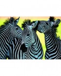 Puzzle Dino - 3 Zebras, 500 piese (62927)