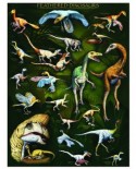 Puzzle Eurographics - Feathered Dinosaurs, 1000 piese (6000-0072)