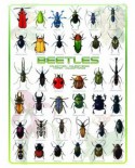 Puzzle Eurographics - Beetles, 1000 piese (6000-0081)