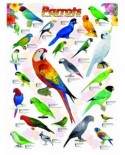 Puzzle Eurographics - Parrots, 1000 piese (6000-0126)