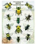 Puzzle Eurographics - Bees Of The World, 1000 piese (6000-0230)
