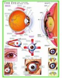 Puzzle Eurographics - The Eye, 1000 piese (6000-0260)