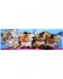 Puzzle panoramic Eurographics - Kittens under the blanket, 750 piese (6005-4678)