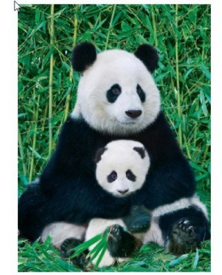 Puzzle Eurographics - Panda And Baby, 1000 piese (8000-0173)