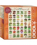 Puzzle Eurographics - Herbs and Spices, 1000 piese (8000-0598)