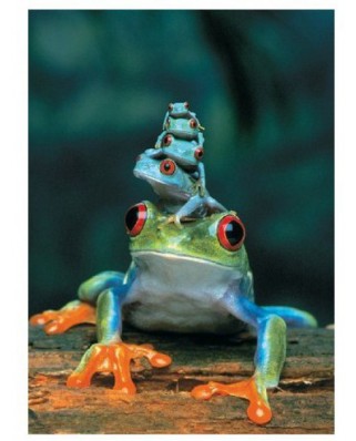 Puzzle Eurographics - Red Eye Tree Frog, 1000 piese (8000-3004)
