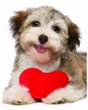 Puzzle Eurographics - Dog With Heart, 100 piese mini (8104-0615)