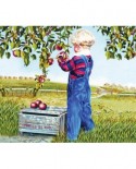 Puzzle Sunsout - Patricia Bourque: Apple Picking, 550 piese (26282)