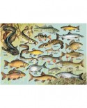 Puzzle Dino - Fishes, 1000 piese (62946)