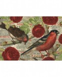 Puzzle Jumbo - Birds love flowers, 500 piese (18398)