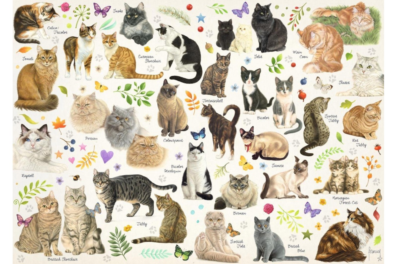 Puzzle Jumbo - Cats Poster, 1000 piese (18595)