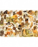 Puzzle Jumbo - Dogs Poster, 1000 piese (18596)