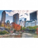 Puzzle Jumbo - New York, Central Park, 1000 piese (18350)